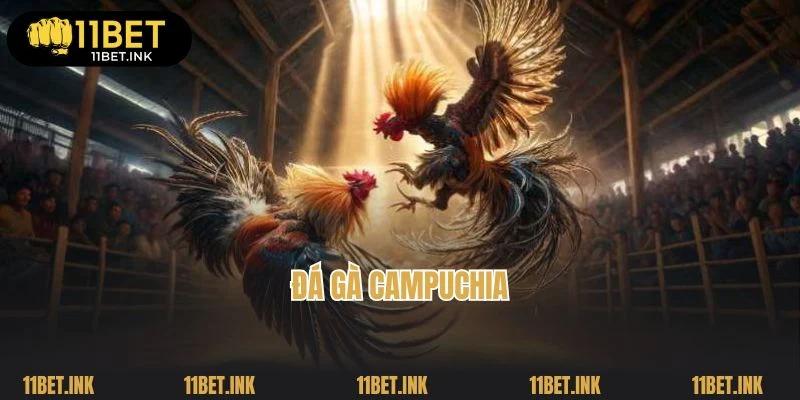 Đá Gà Campuchia: Làm Giàu Nhanh Chóng Khi Cá Cược Tại 11bet