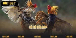 Đá Gà Cựa Dao: Khám Phá Cuộc Chơi Gà Chiến Đầy Màu Sắc