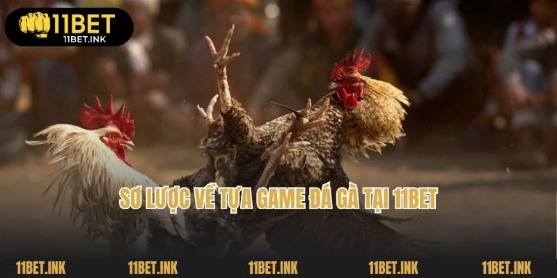 Sơ lược về tựa game đá gà tại 11Bet
