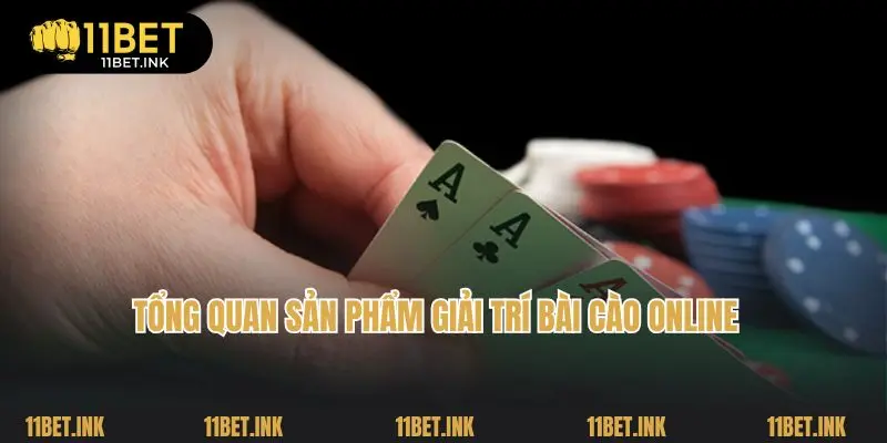 Tổng quan sản phẩm giải trí bài cào online
