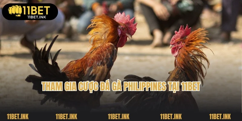 Hướng dẫn tham gia cược đá gà Philippines tại 11Bet nhanh chóng