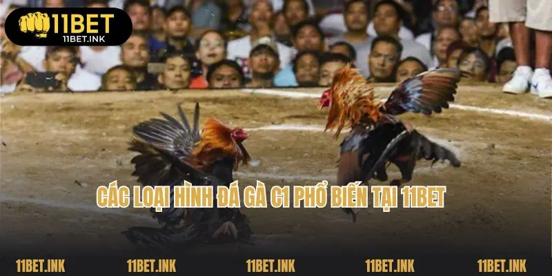 Các loại hình đá gà C1 phổ biến tại 11bet