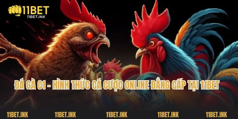 Đá Gà C1 - Hình Thức Cá Cược Online Đẳng Cấp Tại 11bet