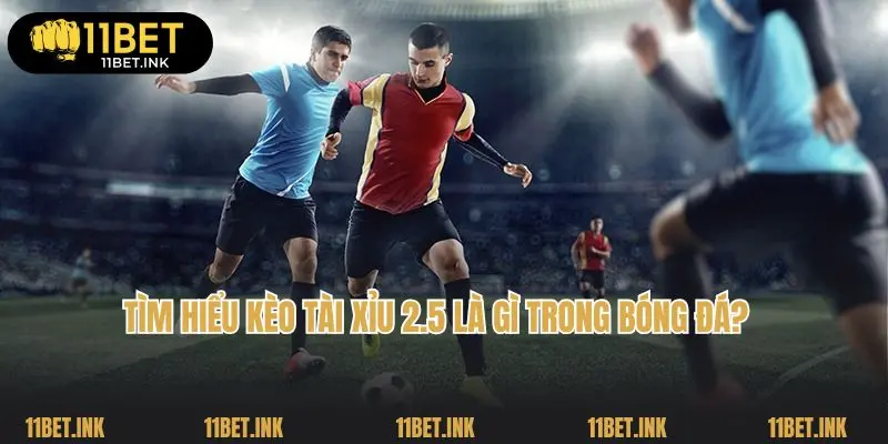 Tìm hiểu kèo tài xỉu 2.5 là gì trong bóng đá?